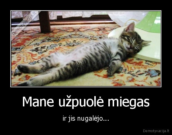 Mane užpuolė miegas - ir jis nugalėjo.... 
