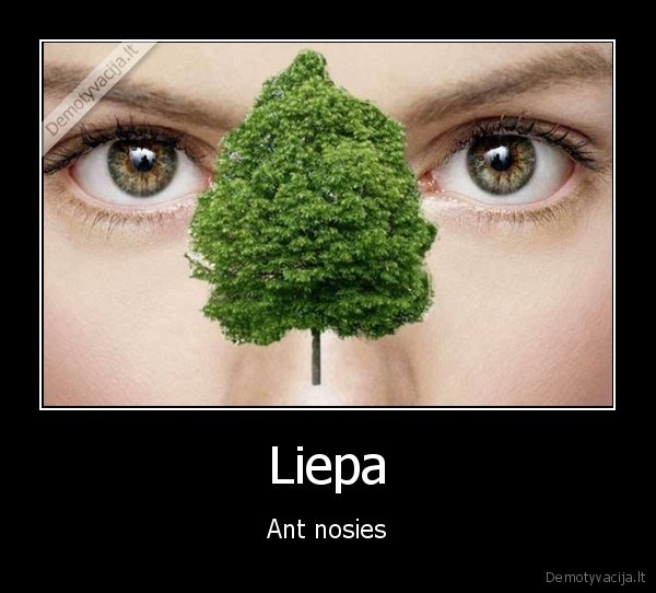 Liepa - Ant nosies. 