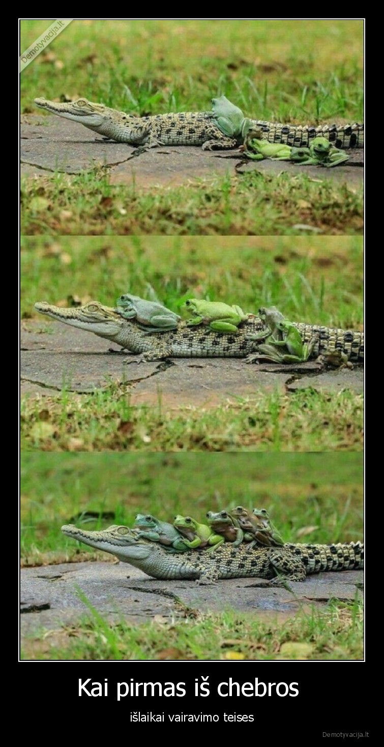 Kai pirmas iš chebros  - išlaikai vairavimo teises. 