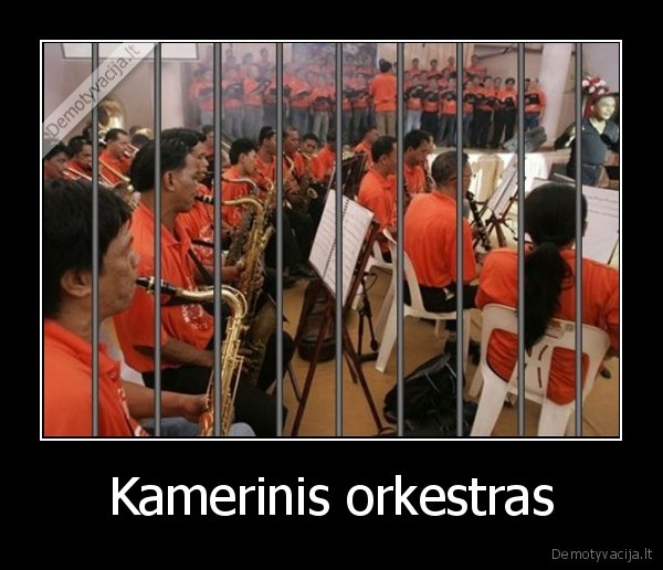 Kamerinis orkestras. 