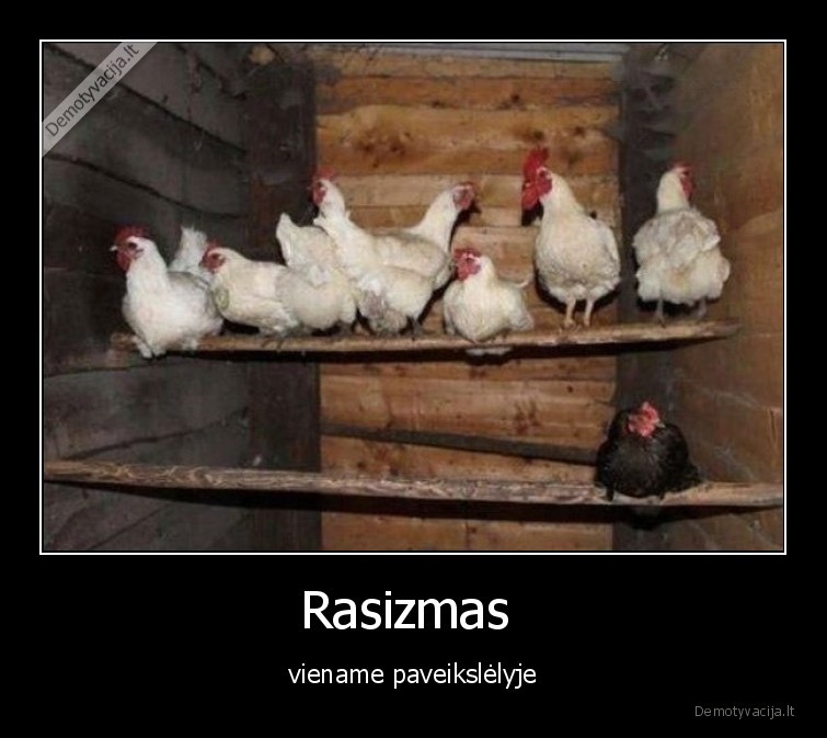Rasizmas  - viename paveikslėlyje. 