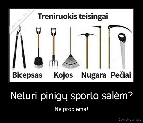 Neturi pinigų sporto salėm? - Ne problema!. 
