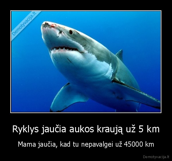 Ryklys jaučia aukos kraują už 5 km - Mama jaučia, kad tu nepavalgei už 45000 km. 