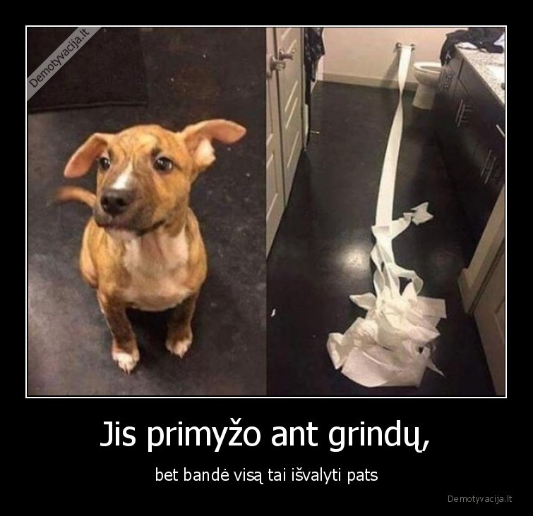 Jis primyžo ant grindų, - bet bandė visą tai išvalyti pats. 