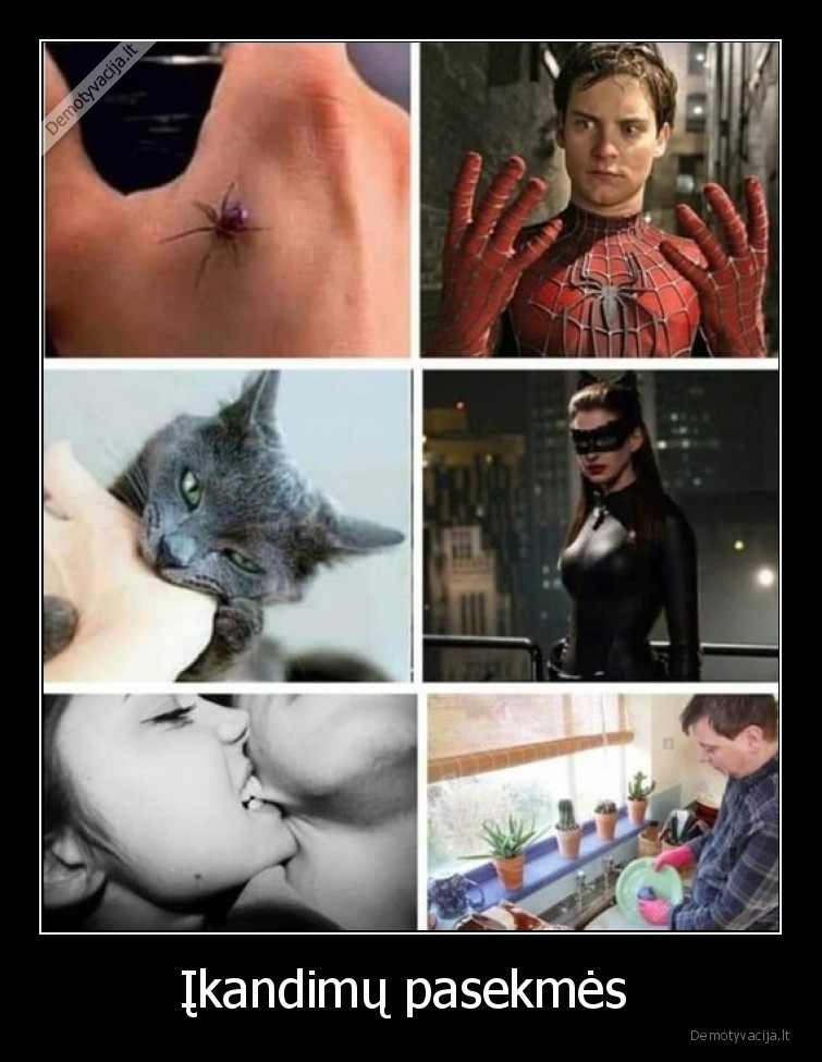 Įkandimų pasekmės . 