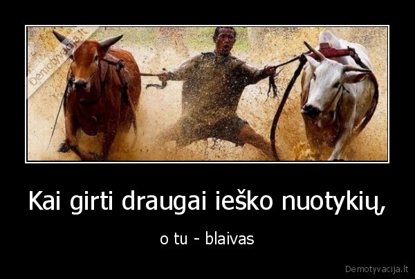Kai girti draugai ieško nuotykių, - o tu - blaivas. 