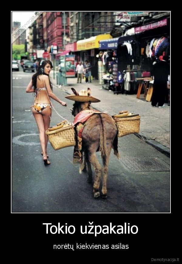 Tokio užpakalio - norėtų kiekvienas asilas