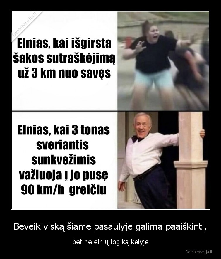 Beveik viską šiame pasaulyje galima paaiškinti, - bet ne elnių logiką kelyje. 