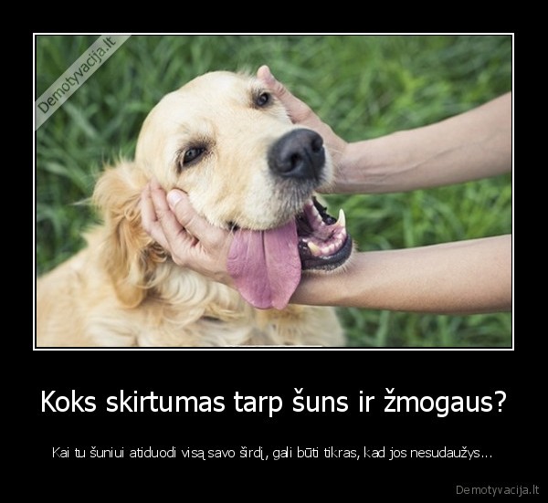 Koks skirtumas tarp šuns ir žmogaus? - Kai tu šuniui atiduodi visą savo širdį, gali būti tikras, kad jos nesudaužys.... 