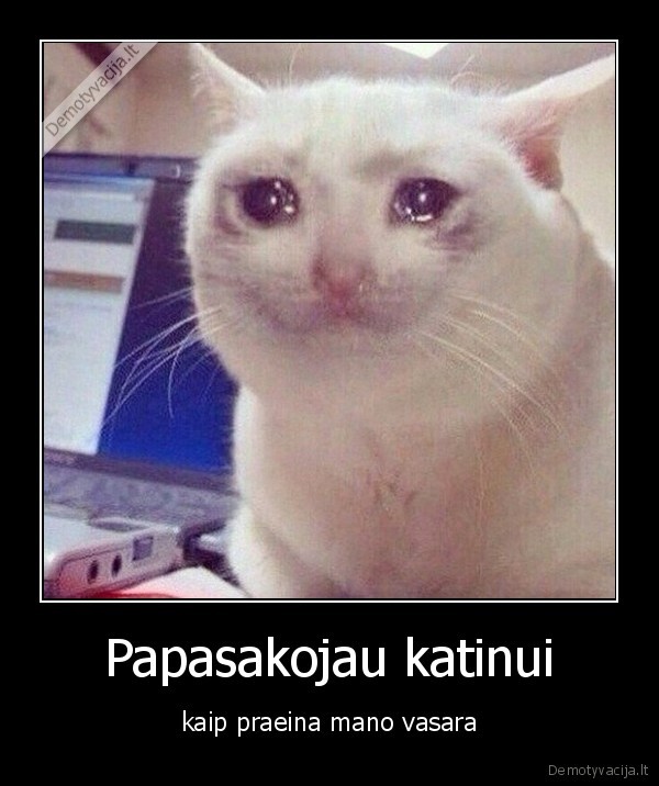 Papasakojau katinui - kaip praeina mano vasara. 