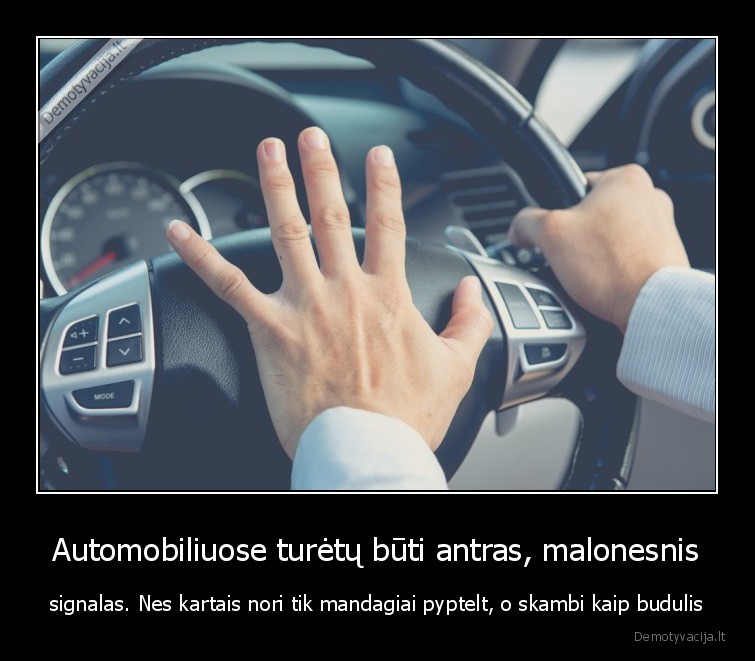 Automobiliuose turėtų būti antras, malonesnis - signalas. Nes kartais nori tik mandagiai pyptelt, o skambi kaip budulis. 