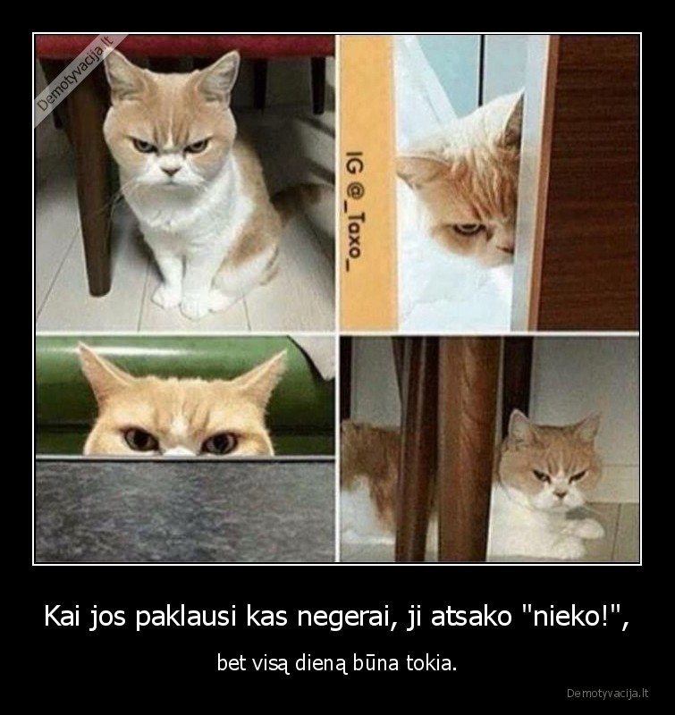 Kai jos paklausi kas negerai, ji atsako 