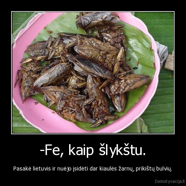 -Fe, kaip šlykštu. - Pasakė lietuvis ir nuėjo įsidėti dar kiaulės žarnų, prikištų bulvių.