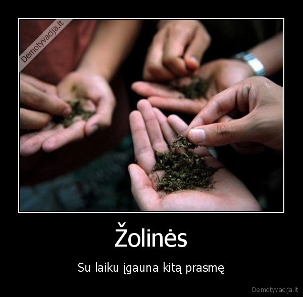 Žolinės - Su laiku įgauna kitą prasmę