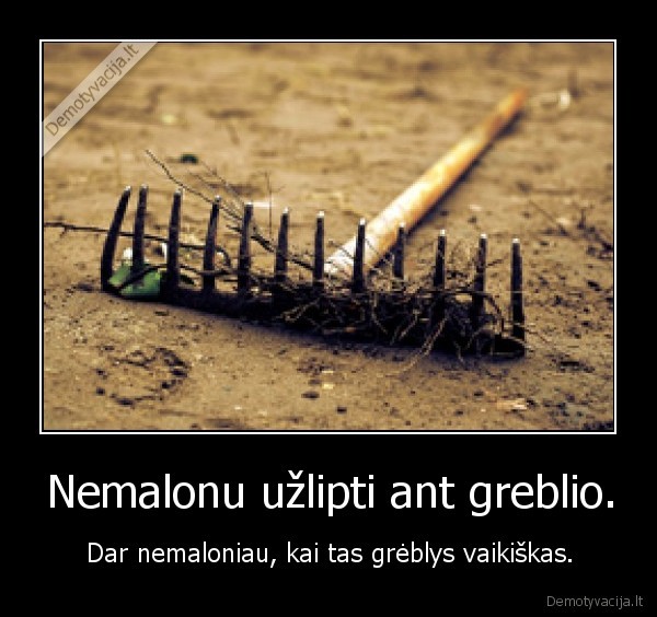 Nemalonu užlipti ant greblio. - Dar nemaloniau, kai tas grėblys vaikiškas.