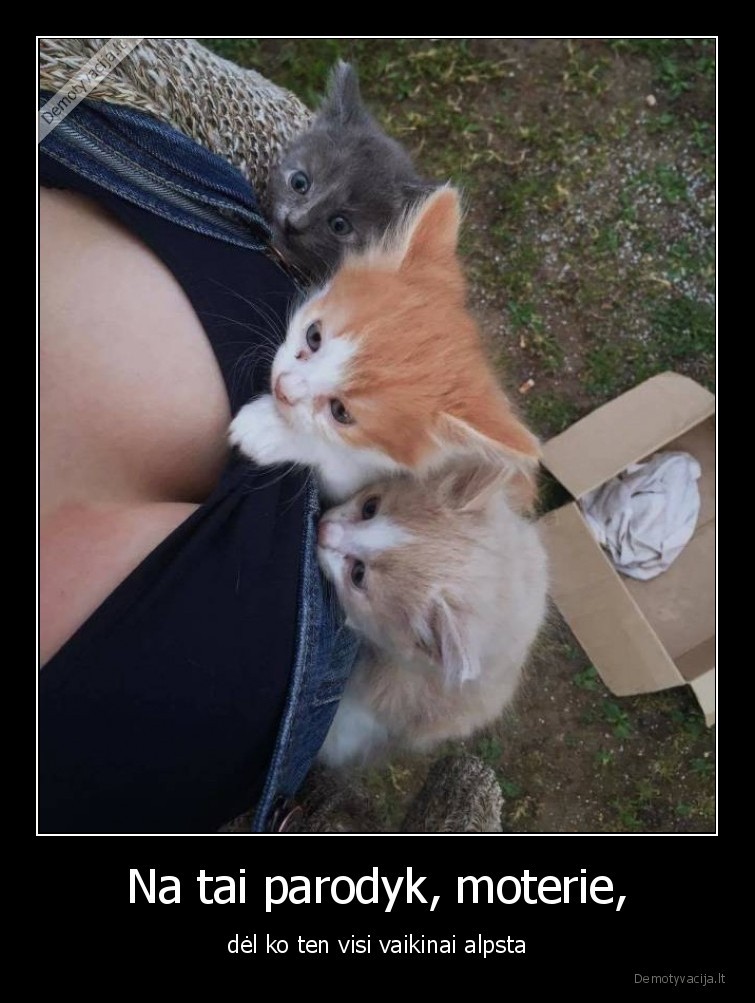 Na tai parodyk, moterie, - dėl ko ten visi vaikinai alpsta. 