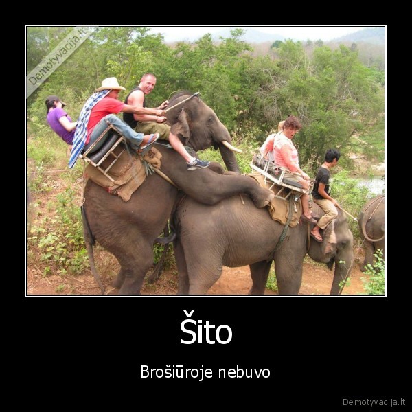 Šito - Brošiūroje nebuvo. 