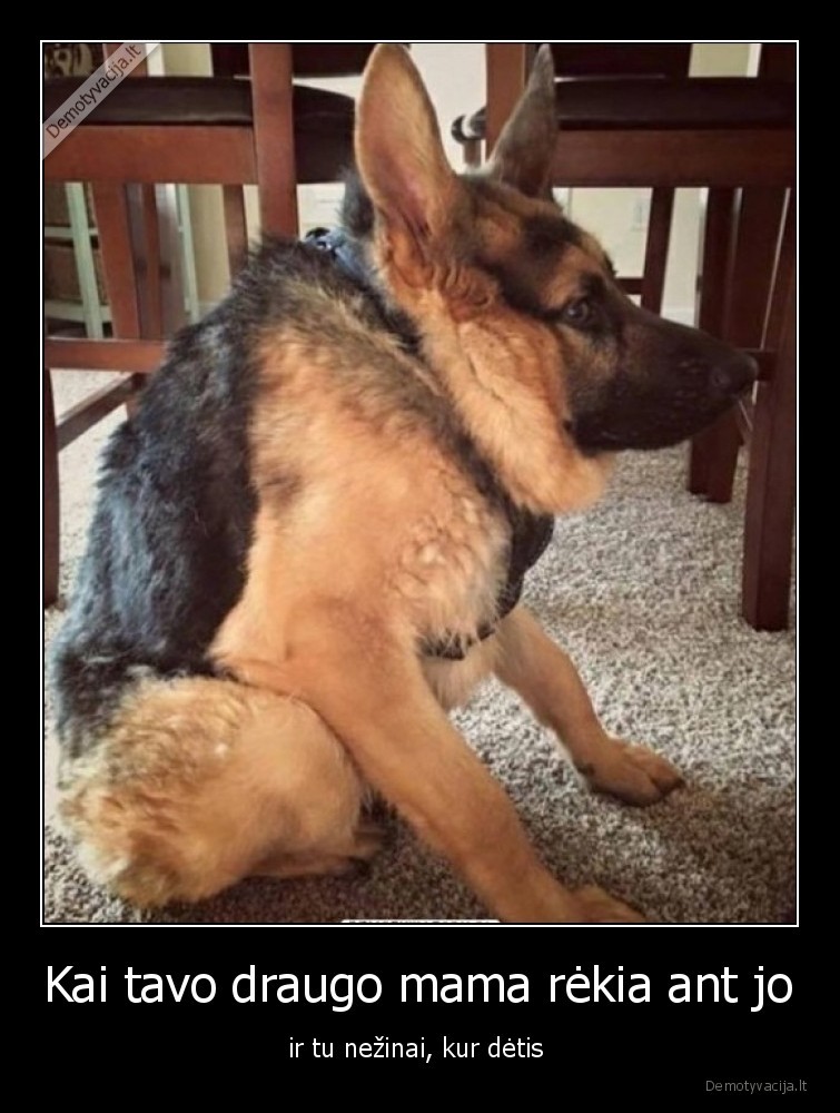 Kai tavo draugo mama rėkia ant jo - ir tu nežinai, kur dėtis . 