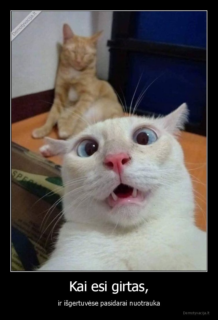 Kai esi girtas, - ir išgertuvėse pasidarai nuotrauka