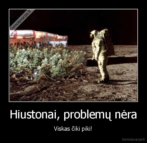 Hiustonai, problemų nėra - Viskas čiki piki!. 