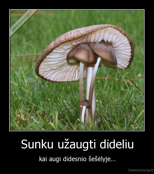 Sunku užaugti dideliu - kai augi didesnio šešėlyje.... 