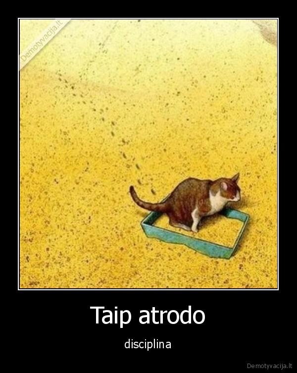 Taip atrodo - disciplina. 
