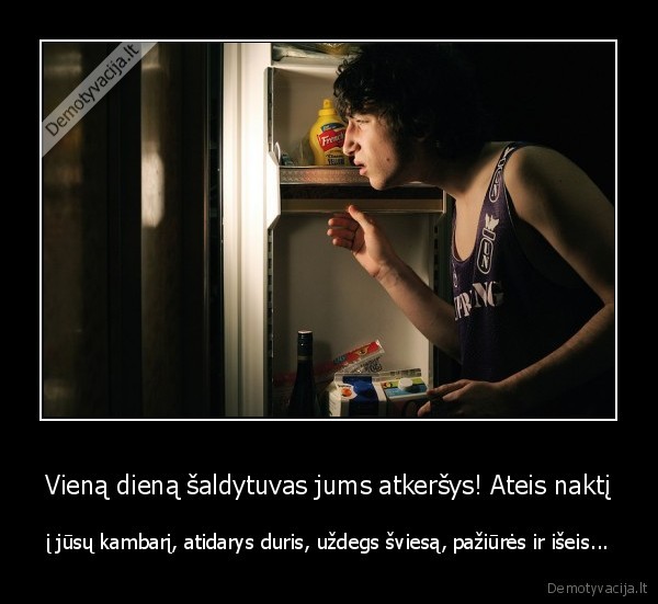 Vieną dieną šaldytuvas jums atkeršys! Ateis naktį - į jūsų kambarį, atidarys duris, uždegs šviesą, pažiūrės ir išeis.... 