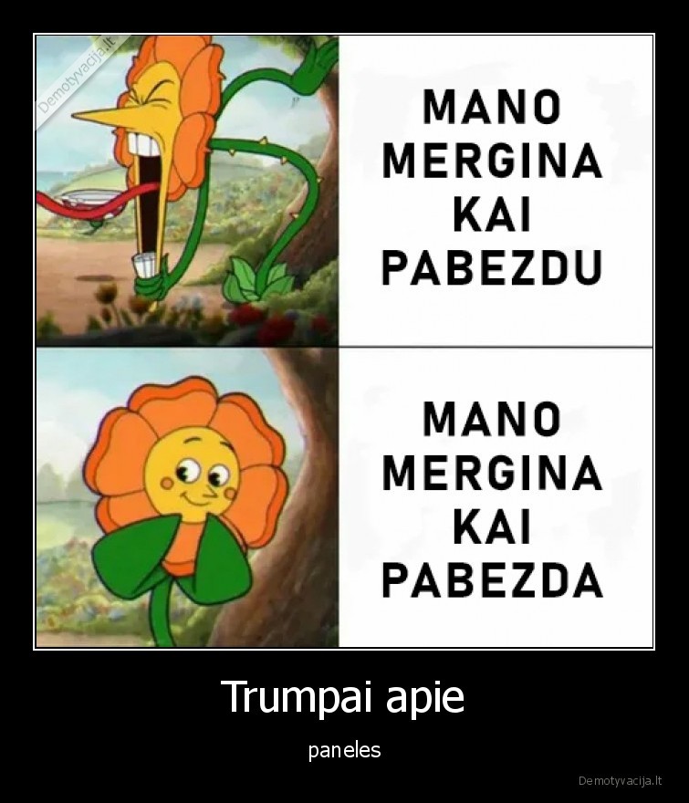 Trumpai apie - paneles. 