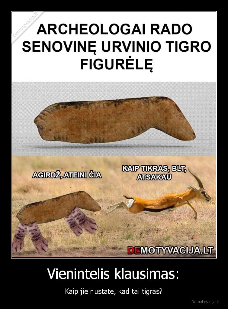 Vienintelis klausimas: - Kaip jie nustatė, kad tai tigras?. 