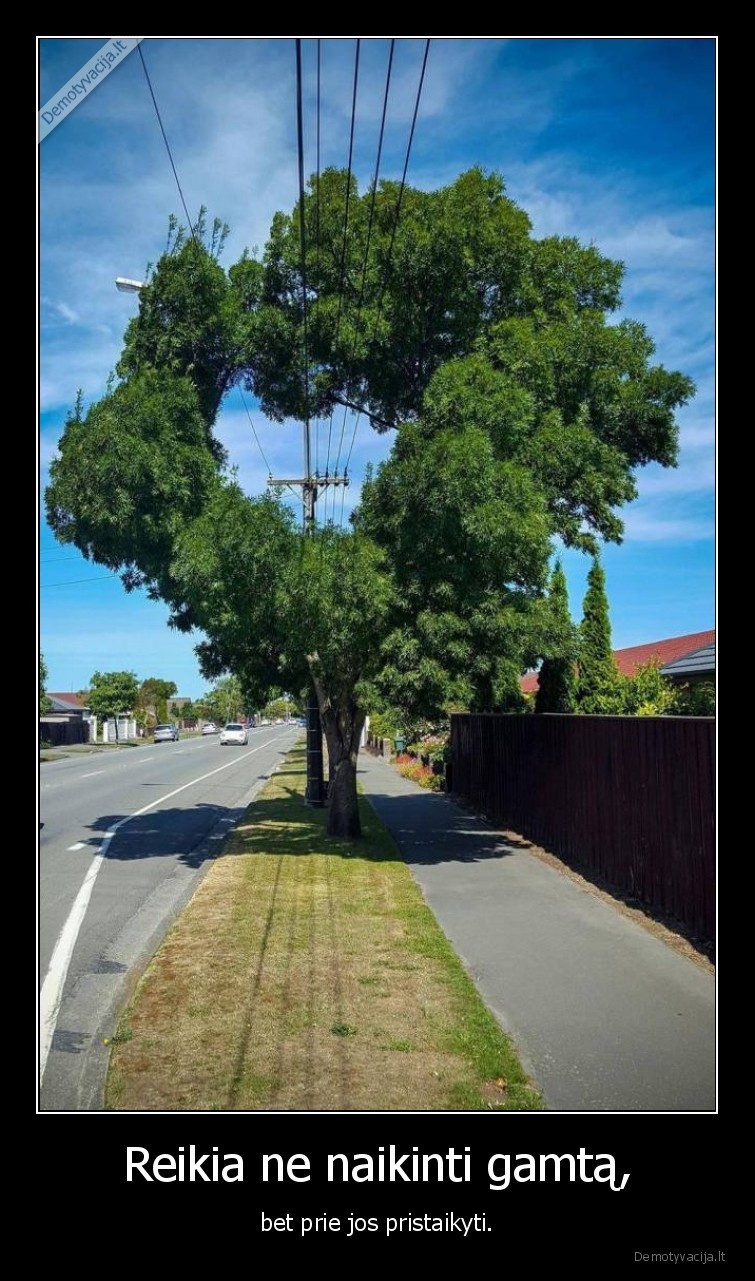 Reikia ne naikinti gamtą, - bet prie jos pristaikyti.. 