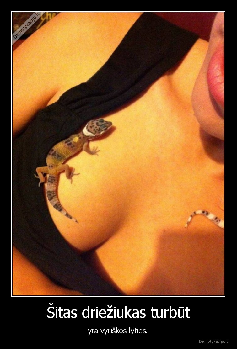 Šitas driežiukas turbūt - yra vyriškos lyties.. 