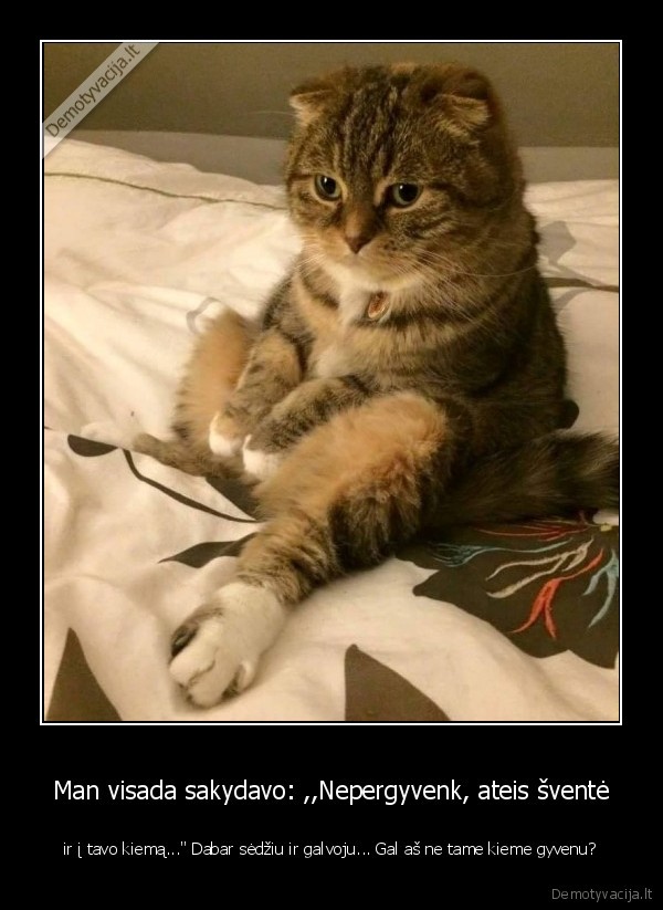 Man visada sakydavo: ,,Nepergyvenk, ateis šventė - ir į tavo kiemą...