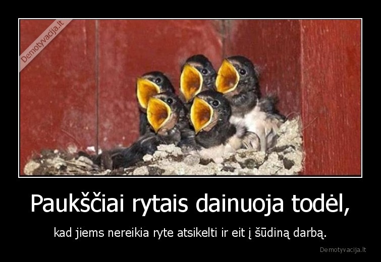 Paukščiai rytais dainuoja todėl, - kad jiems nereikia ryte atsikelti ir eit į šūdiną darbą.. 