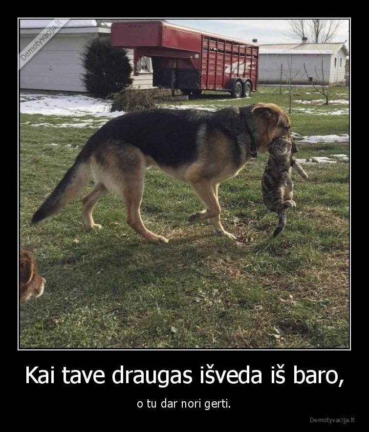 Kai tave draugas išveda iš baro, - o tu dar nori gerti.. 
