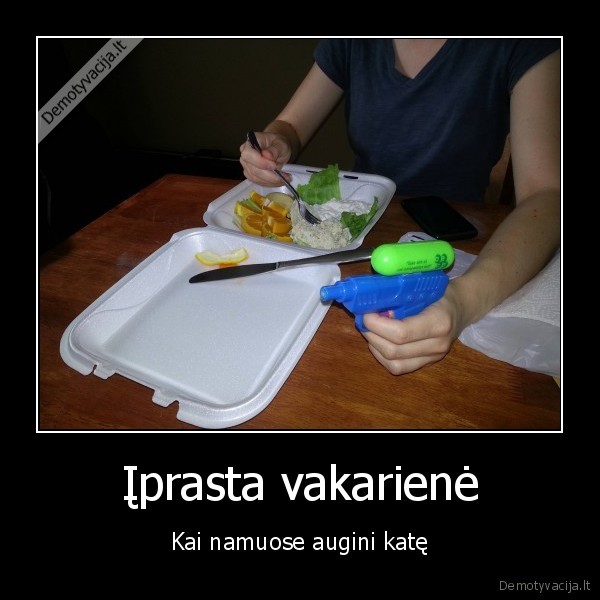 Įprasta vakarienė - Kai namuose augini katę. 