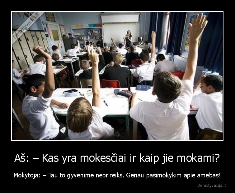 Aš: – Kas yra mokesčiai ir kaip jie mokami? - Mokytoja: – Tau to gyvenime neprireiks. Geriau pasimokykim apie amebas!. 