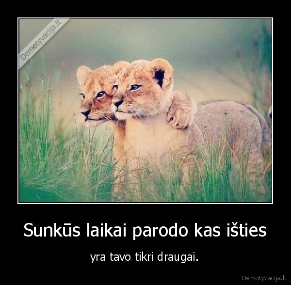 Sunkūs laikai parodo kas išties - yra tavo tikri draugai.. 