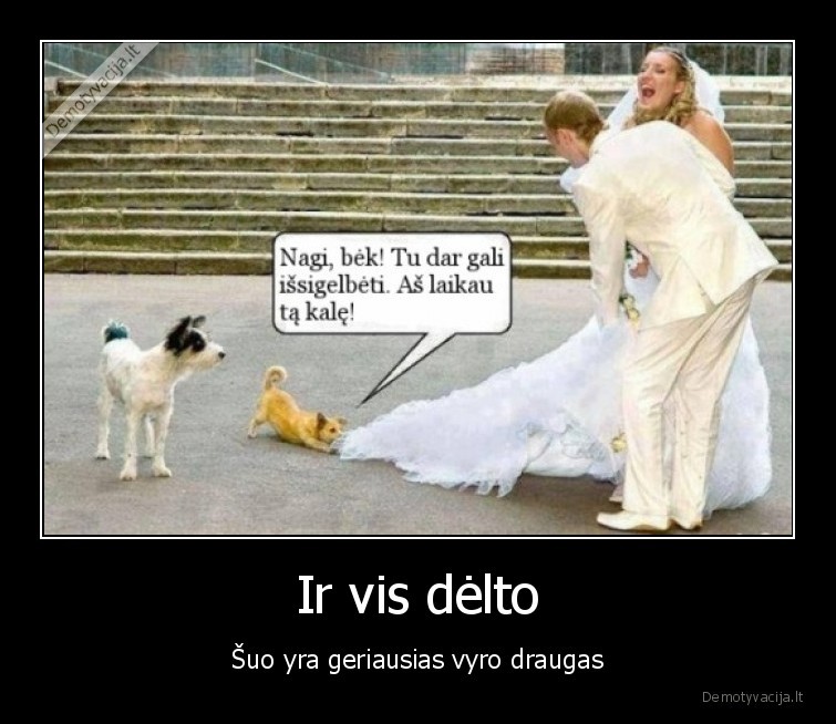Ir vis dėlto - Šuo yra geriausias vyro draugas. 
