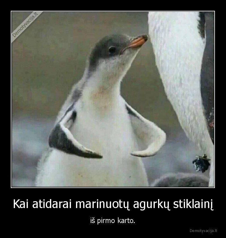 Kai atidarai marinuotų agurkų stiklainį - iš pirmo karto.. 