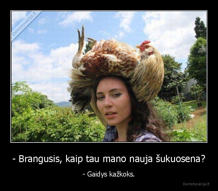 - Brangusis, kaip tau mano nauja šukuosena? - - Gaidys kažkoks.. 