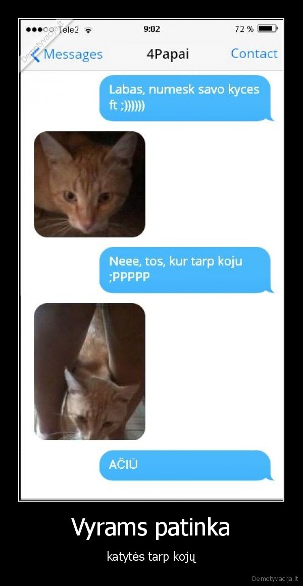 Vyrams patinka - katytės tarp kojų. 