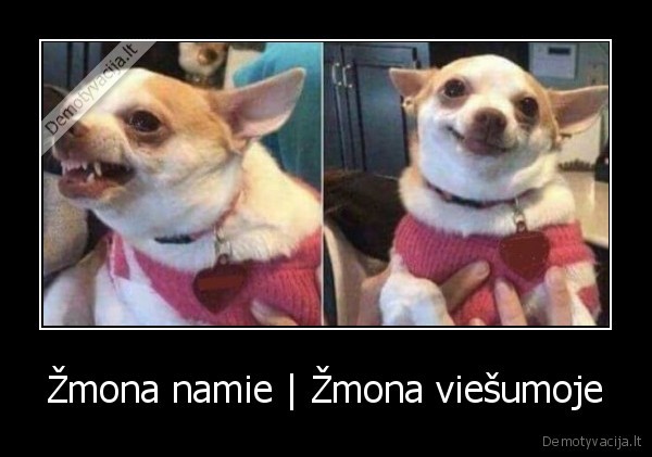 Žmona namie | Žmona viešumoje. 