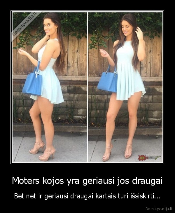 Moters kojos yra geriausi jos draugai - Bet net ir geriausi draugai kartais turi išsiskirti.... 