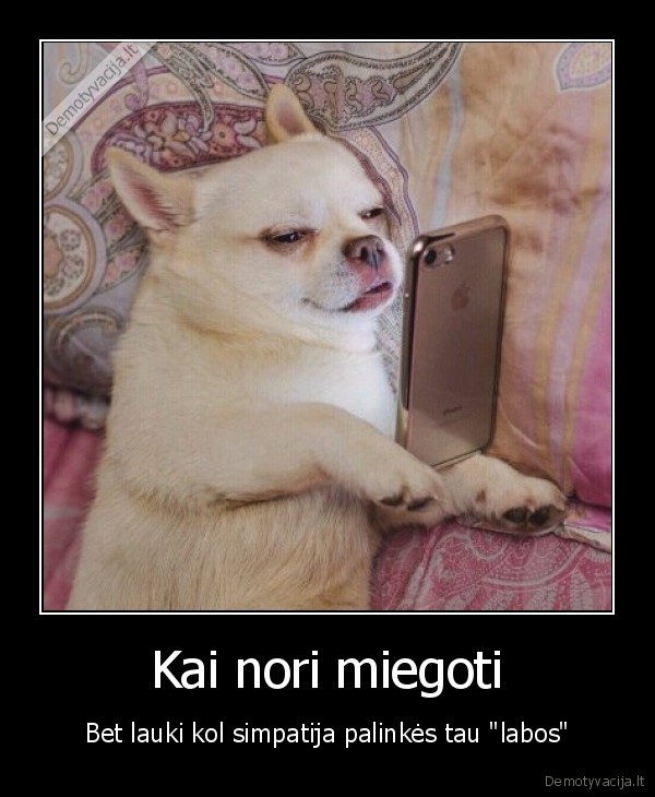 Kai nori miegoti - Bet lauki kol simpatija palinkės tau 