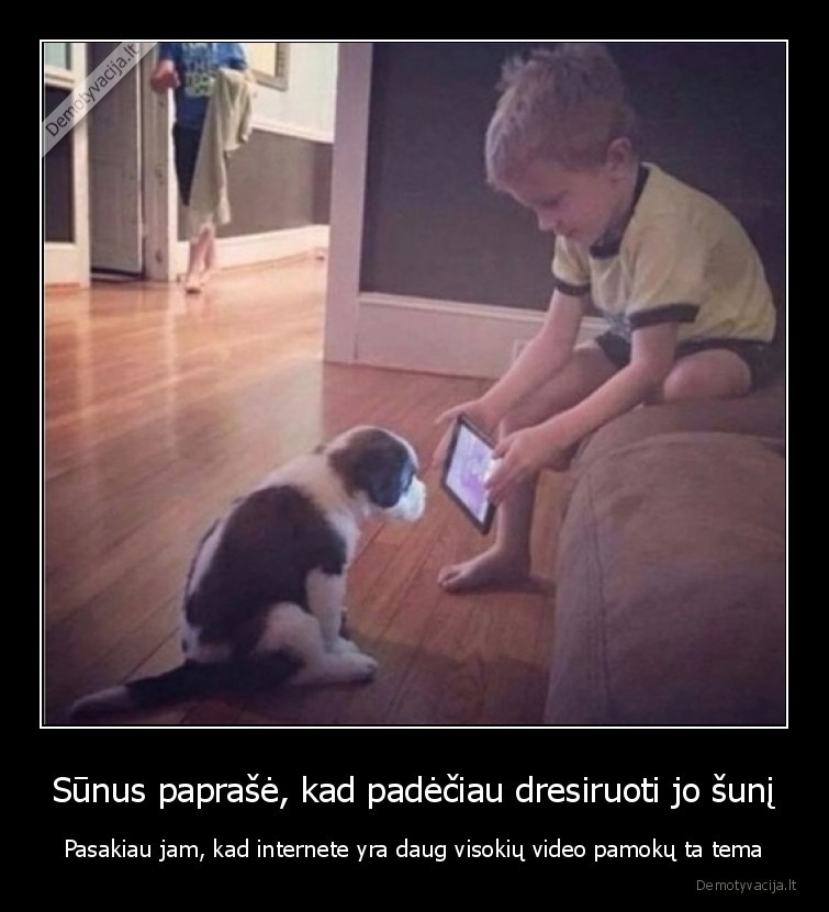 Sūnus paprašė, kad padėčiau dresiruoti jo šunį - Pasakiau jam, kad internete yra daug visokių video pamokų ta tema. 