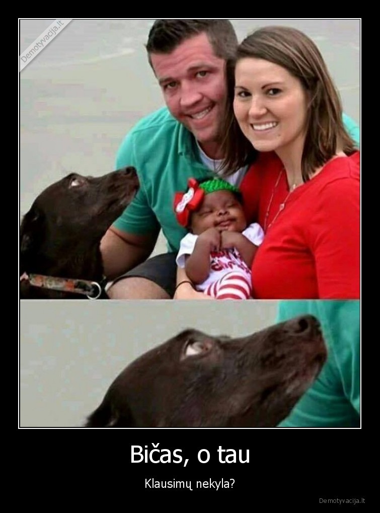 Bičas, o tau - Klausimų nekyla?. 