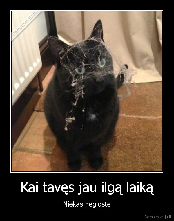 Kai tavęs jau ilgą laiką - Niekas neglostė. 