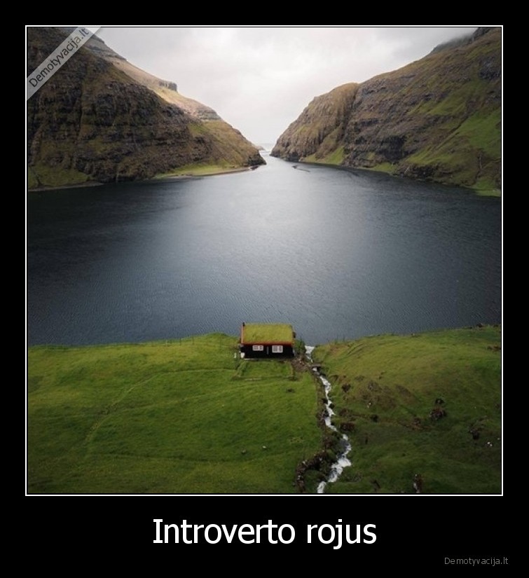 Introverto rojus. 