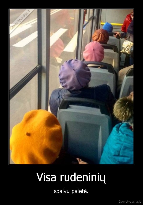 Visa rudeninių - spalvų paletė.. 