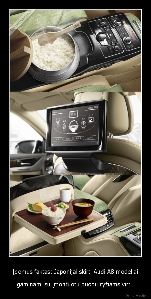 Įdomus faktas: Japonijai skirti Audi A8 modeliai - gaminami su įmontuotu puodu ryžiams virti.. 